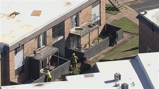 Two people and a dog were rescued from an apartment fire in Dallas