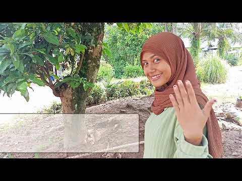 Modul 1 Kegiatan Praktikum 2 "Simbiosis"