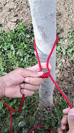 Professional Tree Knot in Seconds | Rope Knot Tutorial#knot #shorts