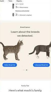 I used Wisdom DNA test on my cat Mochi, here are the results