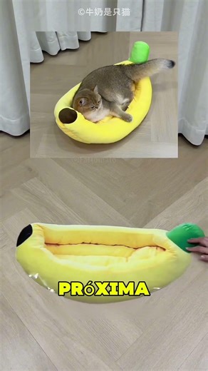 This man made a joke about the cats 🤣❤️🧶