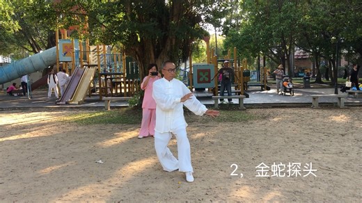 陈式太极拳36式（带口令语音字幕）