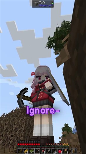 Nothing Crazy | Minecraft