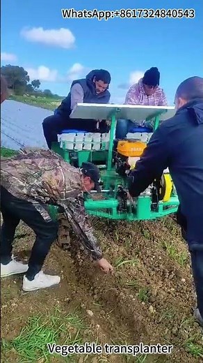 Efficient Vegetable Transplanter in Action – Transforming Agricultural Productivity!