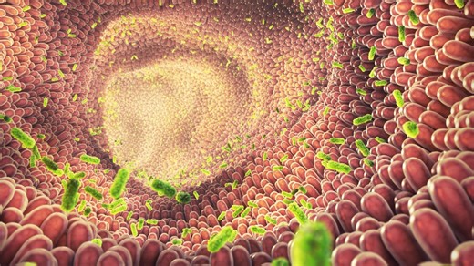 Probiotika: Für wen sie gefährlich werden können | APOTHEKE ADHOC