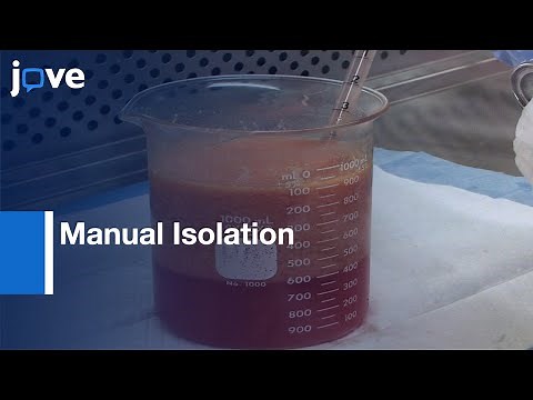 Manual Isolation Of Adipose-Derived Stem Cells From Human Lipoaspirates l Protocol Preview