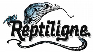 Si tu aime les lézards autant que mon lézards aime les nibards viens au LIZARDAY !!! | Reptiligne
