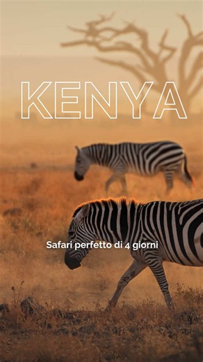 4 giorni, 3 parchi, un’Africa che ti cambia per sempre. 🦁 Giorno 1 — Taita Hills Fotosafari all’alba tra elefanti, gazzelle e leoni. Pranzo al Sarova Salt Lick, le iconiche capanne su palafitte affacciate sulla pozza dove gli elefanti si abbeverano a pochi metri da te. Nel pomeriggio nuovo game drive, poi il momento che nessuno dimentica: il safari notturno con i rangers. 🐘 Giorno 2 — Amboseli Elefanti dalle grandi zanne con il Kilimanjaro sullo sfondo. Un’immagine che non riesci a spiegare fi
