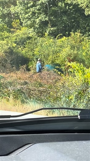 Tom Groves on Instagram: "For heavily infested invasive plants areas a high volume application is probably the safest way to go in terms of reducing chemical usage and having a 95-98% success rate (assuming the biological timing for killing the plants is appropriate) #invasivespecies #nature #habitatrestoration #swallowwort #ecology #habitats #wildflowers #nativeplants"