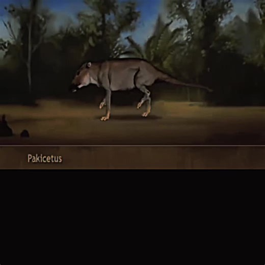Evolusi Paus: Dari Pakicetus Hingga Paus Modern