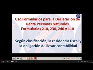 formulario 210, 230, 240 y 110 DIAN y su uso
