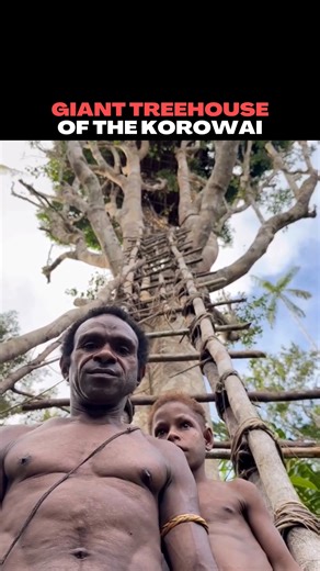 The Korowai of Papua build massive treehouses high above the forest floor, sometimes reaching over 100 feet tall. Constructed from jungle materials and anchored to living trees, these elevated homes protect families from floods, insects, and potential threats — while keeping them close to the forest canopy that sustains daily life. #culture #tribe #korowai #papua #indigenous #homes #tradition Video credit: /lethalcrysis | Unrestricted Borders