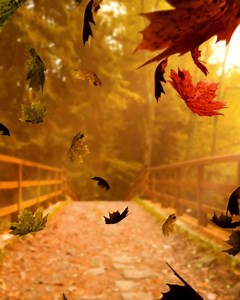 2K views · 29 reactions | Look to Mavis for your fall car care by visiting mavis.com to schedule your next appointment. | Mavis Discount Tire | Facebook