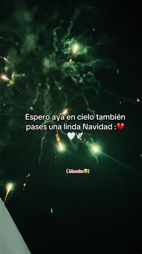 🕊️ | feliz navidad