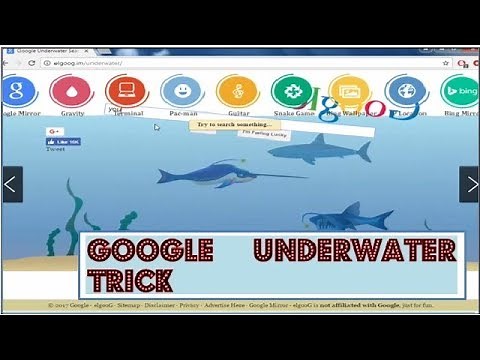 See google in water with google underwater search trick || try now google hidden search trick