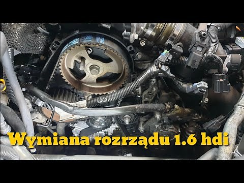 Wymiana rozrządu 1.6 Hdi Citroen, Peugeot, Ford, Mazda i Volvo