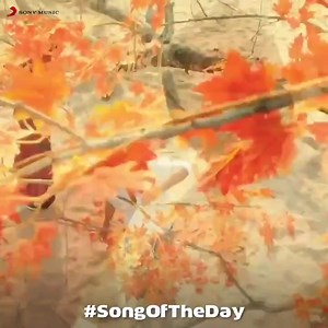 அன்பே ! 💕 #AnbaePeranbae from #NGK our #SongOfTheDay ❤️➡️ https://youtu.be/N_iW0VC3IdI Download WhatsApp status ➡️ http://bit.ly/WhatsappStatusClips #HBDRakulPreet | Sony Music South