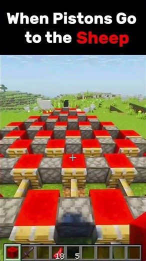 Poor Sheep 🥹😭 #minecraft