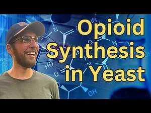 How to Make Opioids with Yeast | Journal Club