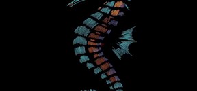 Seahorse Embroidery File | Ocean Creature Design | Machine Embroidery Pattern | Digital Download - Etsy