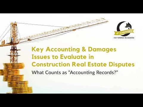 What Counts as "Accounting Records?" | Fox Forensic Accounting