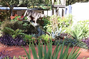 80K views · 6.3K reactions | Keeper Brittany On The Go - I thought I...