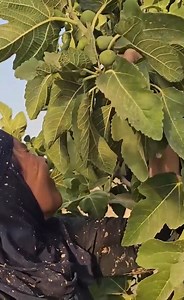 39K views · 904 reactions | Grandma, you're strong. The Life of a New Vacuum Cleaner in One Day 10 #reelvideo #challenge #ChallengeChallenge #trendingvideo #trendingreelsvideo #trendingreel | Natural Lives | Facebook