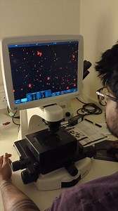 Learn how to turn science into medicine at a top 10 UK uni (QS 2026). Apply now to study Cellular Molecular Medicine. | University of Bristol