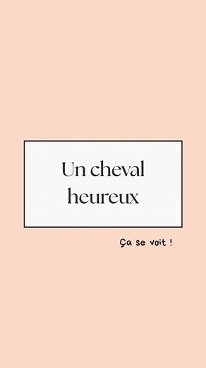 Un cheval équilibré, c’est avant tout un cheval serein dans son environnement et confiant avec l’humain. Voici quelques signes qui ne trompent pas: 1️⃣ Il montre de la curiosité Un cheval bien dans sa tête observe et vient au contact sans crainte. Il cherche à comprendre plutôt qu’à fuir. La curiosité est le reflet d’une vraie sécurité intérieure. 2️⃣ Il a des interactions sociales apaisées Il broute, joue et se repose avec ses congénères sans tensions. Les oreilles, la posture et les mimiques s