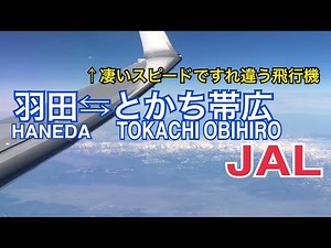 羽田↔︎とかち帯広空港 往復 機窓 展望