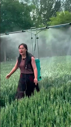 Pesticide spraying process in wheat field with backpack adjustable sprayer