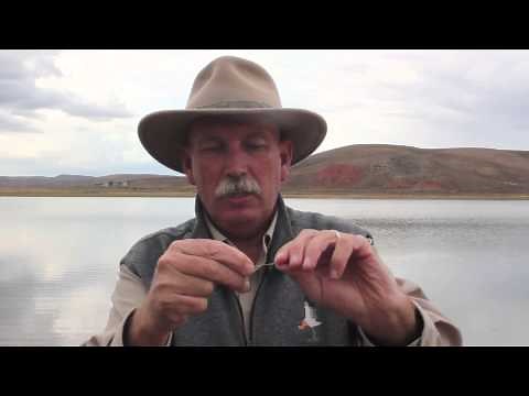 Fly and a Bubble Fishing Technique