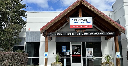 BluePearl Pet Hospital | Kirkland, WA