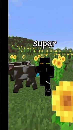 (lifesteal invite me) 3 USEFUL MINECRAFT SITES! #minecraft #minecraftwebsite