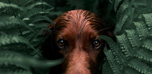 How to Download Lightroom Photo & Video Editor Latest Version for Android 2025