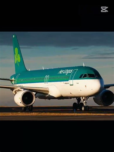 A320 edit (strobe warning ⚠ I think?)