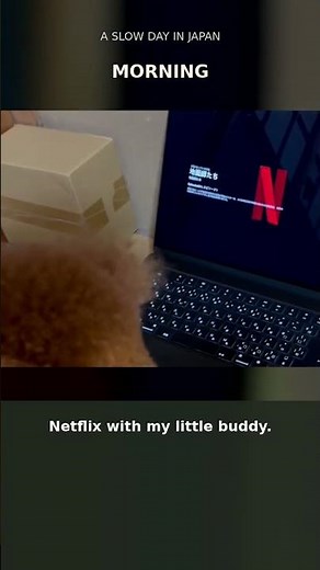 Rain, Netflix & My Dog ☔ | A Slow Day in Japan