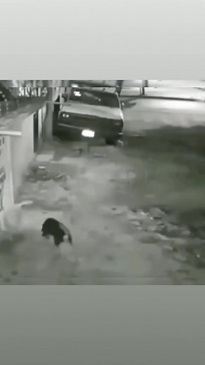 19K views · 181 reactions | Zim Cricket team in these World Cup Qualifiers  | Zim Hotspot | Facebook