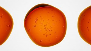 Cellules transparentes avec bulles : Animation : vidéo de stock (100 % libre de droit) 3679081167 | Shutterstock