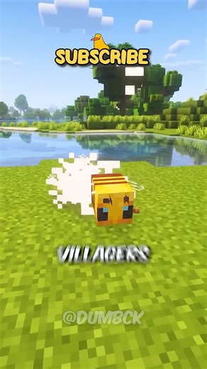 48K views · 360 reactions | CRAZY THINGS IN MINECRAFT THAT DON'T MAKE SENSE! #shorts | SlippyCat | Facebook