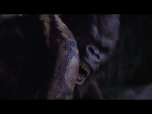 Gorilla vs Anaconda Fight To Death - Wild Animals Attack