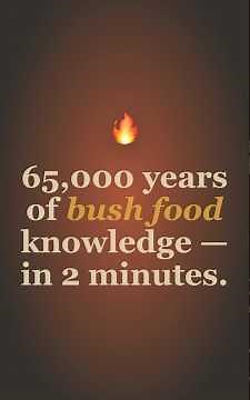 Australian Indigenous Food Facts You Didn’t Know | Bush Tucker Explained