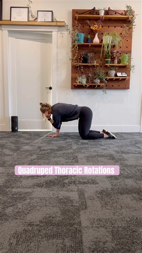 Quadruped Thoracic Rotations #upperbackmobility #ribcage #spinalmobility