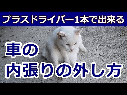 【ドア内張り外し方】超簡単 #ドア内張り外し方