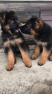 Growing up so fast 😍 | Lana Alexia