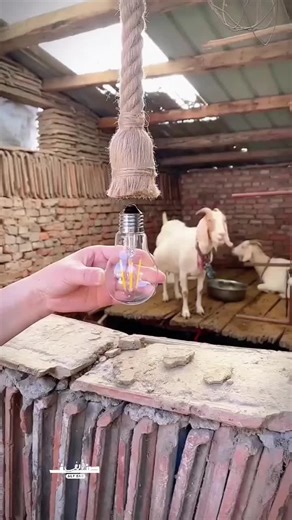 ‏اطلب الان كاميرة مراقبه علي شكل مصباح 360 درجة بخصم 40% لمده يوم