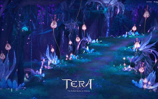 TERA台服注册下载安装教程