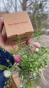 The Libra House on Reels