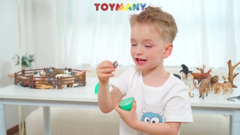 Toymany 8PCS Wolf Figures Forest Animals Toy Figurines - Realistic Jungle Zoo Animal Figurines，Educational Toy Cake Toppers Christmas Birthday Gift for Kids Boys Girls