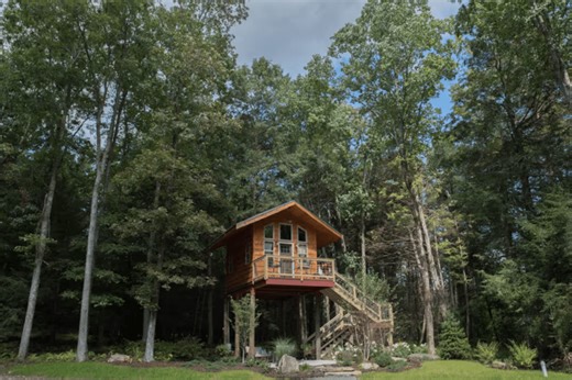 This Treehouse Vacation Rental Near Ricketts Glen State Park Is a Secluded Retreat